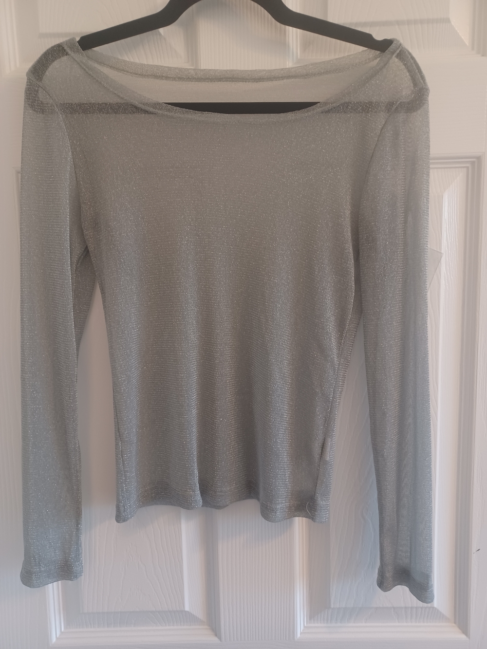 Mesh Sheer Stretchy Metallic Long-Sleeve Top in Silver Celestial Sparkly